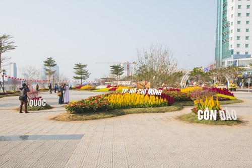 Đà[-]Nẵng:[-]Bản[-]đồ[-]Việt[-]Nam[-]bằng[-]hoa[-]lập[-]kỷ[-]lục
